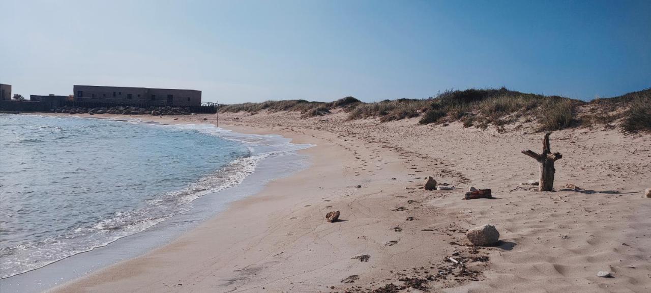 Casa Vacanza In Pieno Centro Storico Vicino Ostuni E La Riserva Di Torre Quaceto サン・ヴィート・デイ・ノルマンニ エクステリア 写真